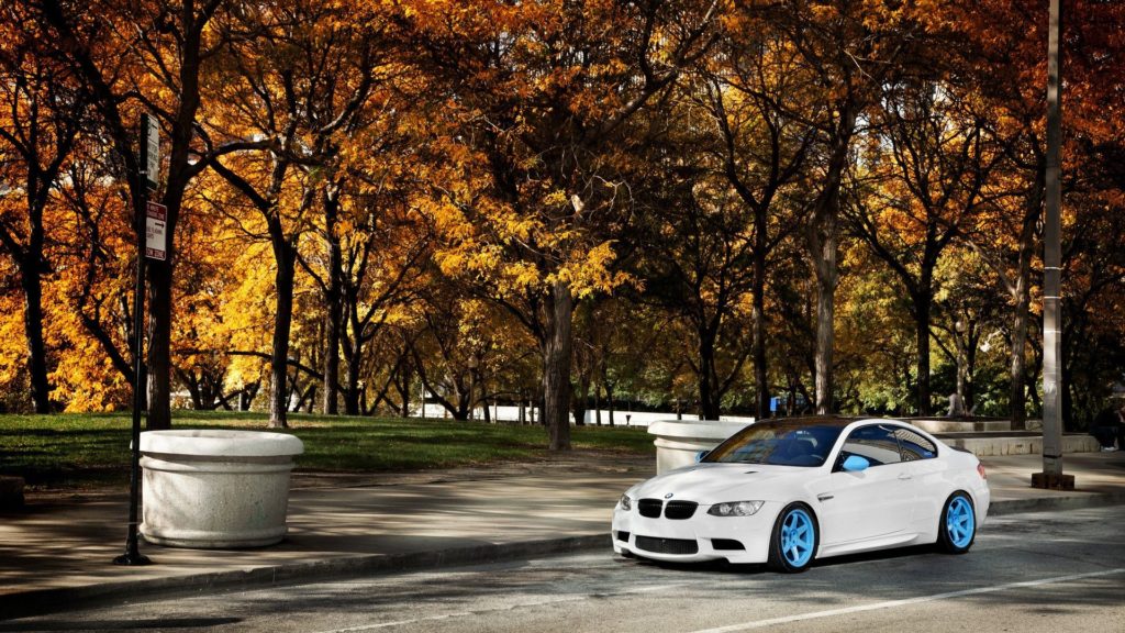 BMW Car image